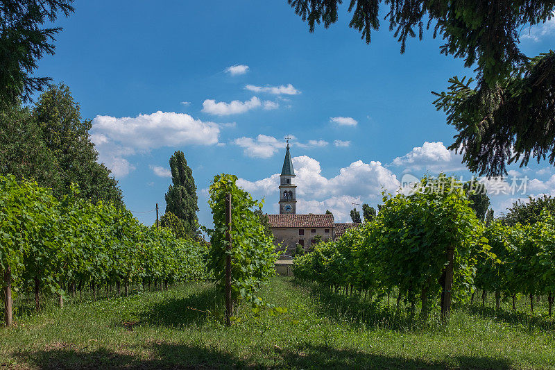 San Pietro di Felletto，普罗塞克葡萄园